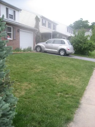 Freshly maintained residential lawn