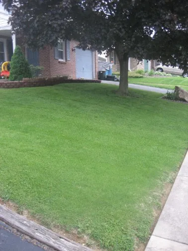 Maintained residential lawn by Dema's Lawn Care
